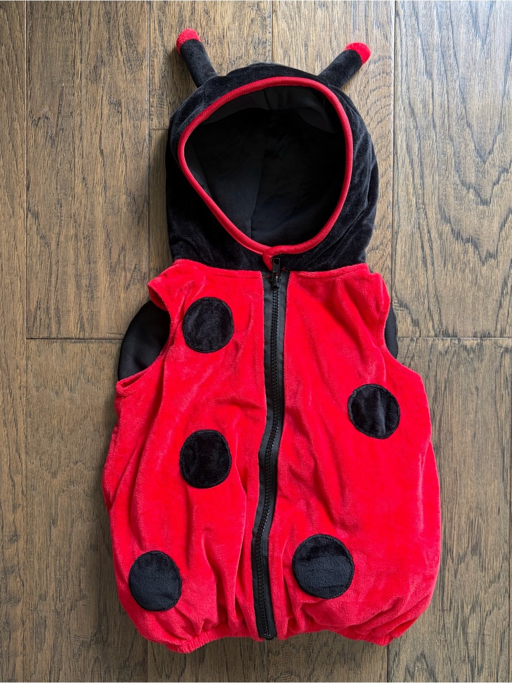 Adorable Baby Ladybug Halloween Costume